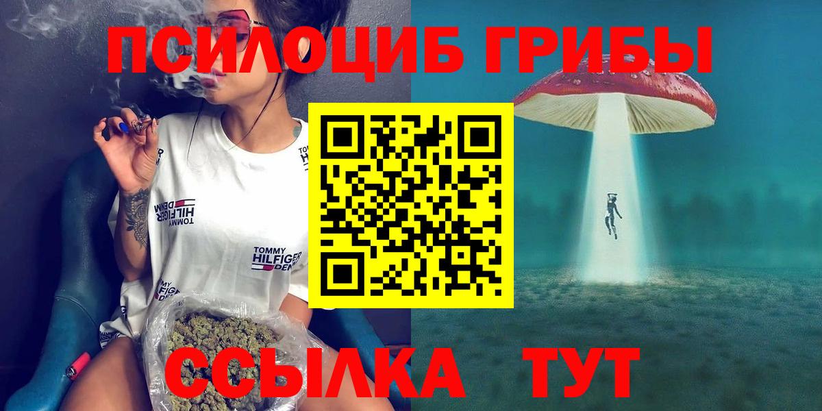 Псилоцибиновые грибы Psilocybine cubensis Карасук