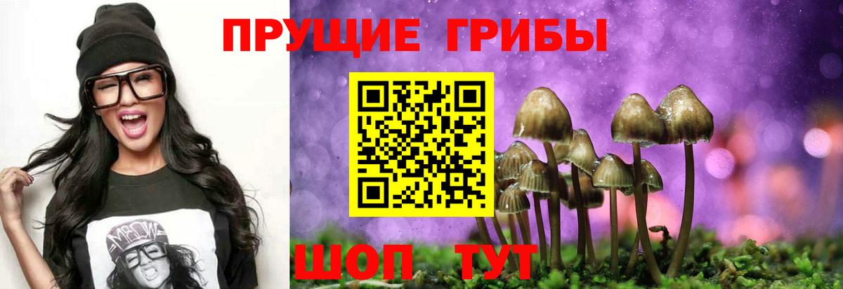Псилоцибиновые грибы Psilocybine cubensis  Псилоцибиновые грибы Magic Shrooms  Карасук  купить  цена  Вход с VPN 